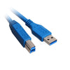 ACCL 10ft USB 3.0 A Male to B Male Printer/Device Cable, Blue