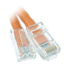 ACCL 1ft Cat6 RJ45 Bootless Ethernet Patch Cable, Orange