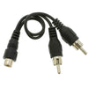 ACCL 6in RCA Female to Dual RCA Male Splitter/Adapter