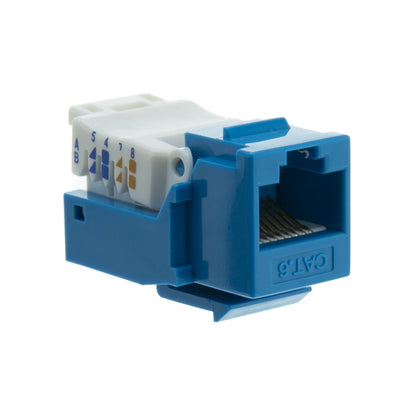 ACCL RJ45 Female Cat6 Keystone Jack Toolless, Blue